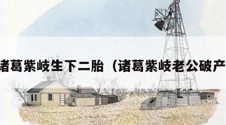 诸葛紫岐生下二胎（诸葛紫岐老公破产）