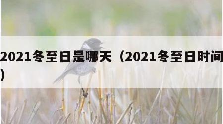 2021冬至日是哪天（2021冬至日时间）