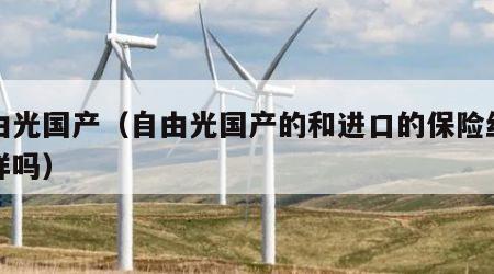 自由光国产（自由光国产的和进口的保险丝盒一样吗）