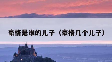 豪格是谁的儿子（豪格几个儿子）