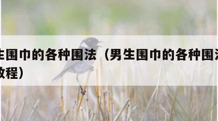 男生围巾的各种围法（男生围巾的各种围法视频教程）