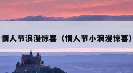 情人节浪漫惊喜（情人节小浪漫惊喜）