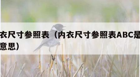 内衣尺寸参照表（内衣尺寸参照表ABC是什么意思）