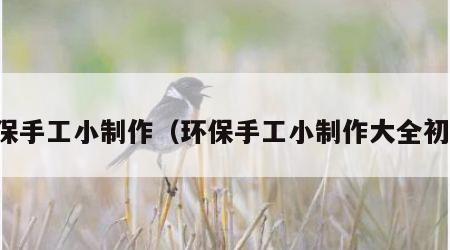 环保手工小制作（环保手工小制作大全初中）