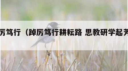 踔厉笃行（踔厉笃行耕耘路 思教研学起芳华）