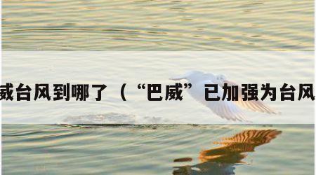 巴威台风到哪了（“巴威”已加强为台风级）
