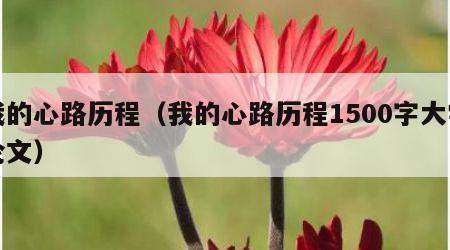 我的心路历程（我的心路历程1500字大学论文）