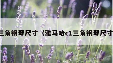 三角钢琴尺寸（雅马哈c1三角钢琴尺寸）
