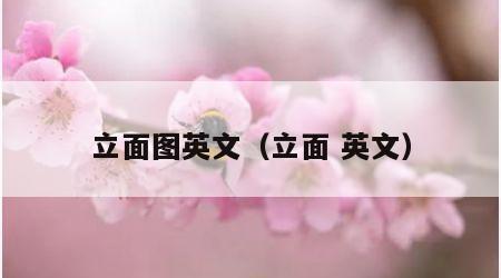 立面图英文（立面 英文）