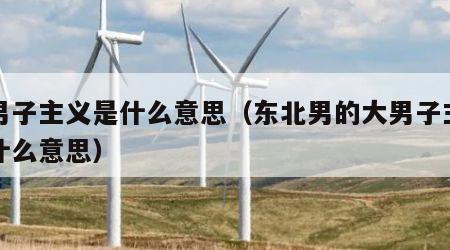 大男子主义是什么意思（东北男的大男子主义是什么意思）