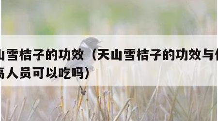 天山雪桔子的功效（天山雪桔子的功效与作用三高人员可以吃吗）