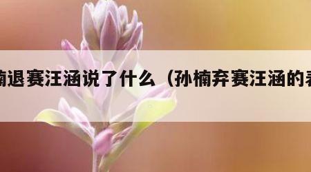 孙楠退赛汪涵说了什么（孙楠弃赛汪涵的表现）