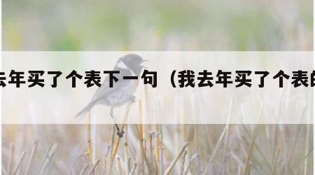 我去年买了个表下一句（我去年买了个表的含义）