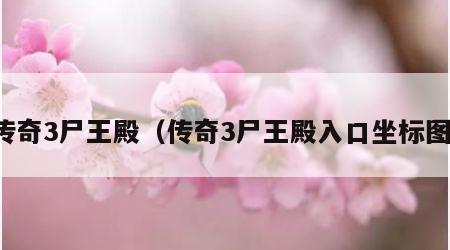 传奇3尸王殿（传奇3尸王殿入口坐标图）