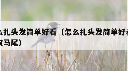 怎么扎头发简单好看（怎么扎头发简单好看可爱双马尾）