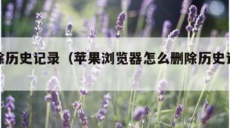删除历史记录（苹果浏览器怎么删除历史记录）