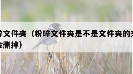 粉碎文件夹（粉碎文件夹是不是文件夹的东西都会删掉）