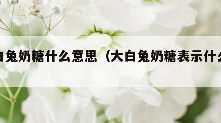大白兔奶糖什么意思（大白兔奶糖表示什么意思）