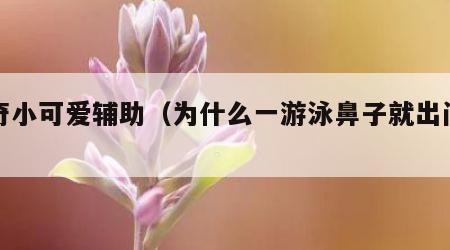 传奇小可爱辅助（为什么一游泳鼻子就出问题）