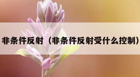 非条件反射（非条件反射受什么控制）