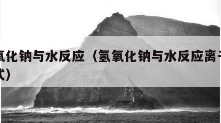 氢氧化钠与水反应（氢氧化钠与水反应离子方程式）