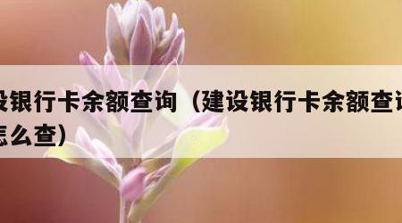 建设银行卡余额查询（建设银行卡余额查询微信怎么查）