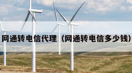 网通转电信代理（网通转电信多少钱）