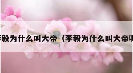 李毅为什么叫大帝（李毅为什么叫大帝呢）