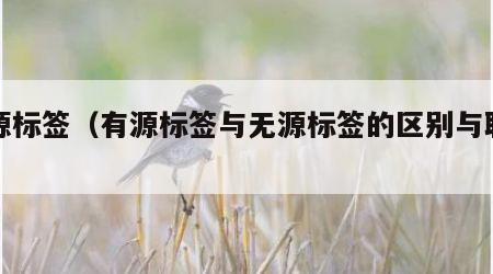 有源标签（有源标签与无源标签的区别与联系）