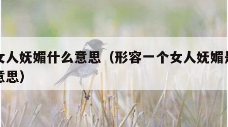 小女人妩媚什么意思（形容一个女人妩媚是什么意思）
