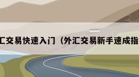 外汇交易快速入门（外汇交易新手速成指南）