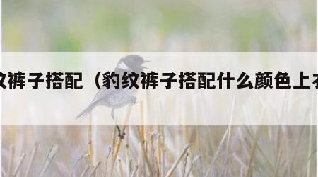 豹纹裤子搭配（豹纹裤子搭配什么颜色上衣好看）