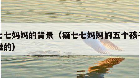 猫七七妈妈的背景（猫七七妈妈的五个孩子都是谁的）