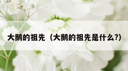 大鹅的祖先（大鹅的祖先是什么?）