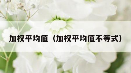 加权平均值（加权平均值不等式）