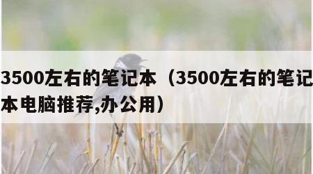 3500左右的笔记本（3500左右的笔记本电脑推荐,办公用）