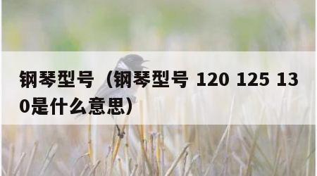 钢琴型号（钢琴型号 120 125 130是什么意思）