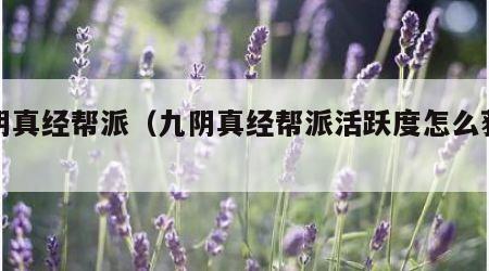 九阴真经帮派（九阴真经帮派活跃度怎么获得）