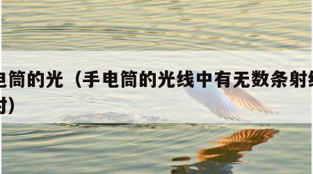 手电筒的光（手电筒的光线中有无数条射线对不对）