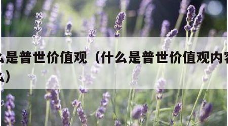 什么是普世价值观（什么是普世价值观内容是什么）