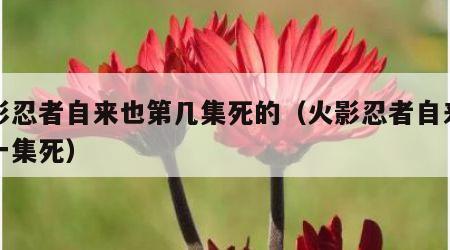 火影忍者自来也第几集死的（火影忍者自来也哪一集死）