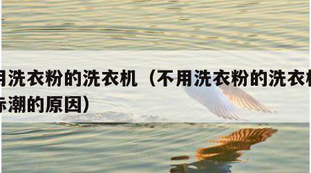 不用洗衣粉的洗衣机（不用洗衣粉的洗衣机产生赤潮的原因）