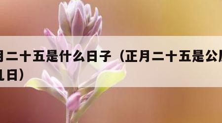 正月二十五是什么日子（正月二十五是公历几月几日）