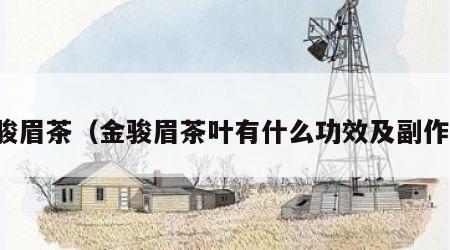 金骏眉茶（金骏眉茶叶有什么功效及副作用）
