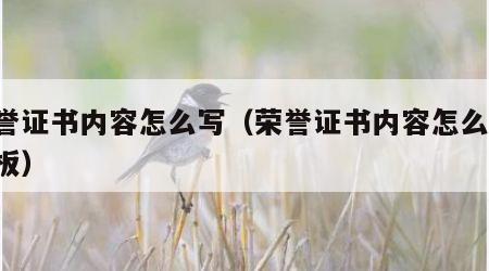 荣誉证书内容怎么写（荣誉证书内容怎么写 模板）