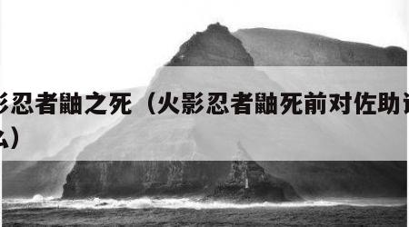 火影忍者鼬之死（火影忍者鼬死前对佐助说了什么）