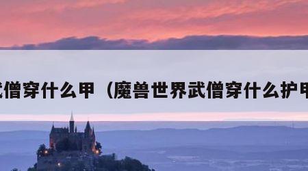 武僧穿什么甲（魔兽世界武僧穿什么护甲）