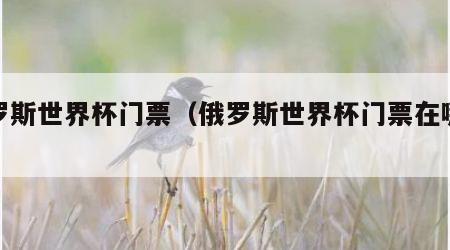 俄罗斯世界杯门票（俄罗斯世界杯门票在哪买）