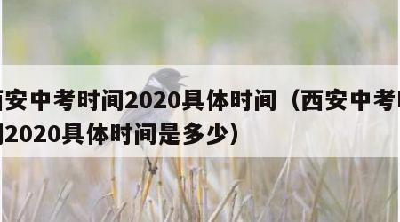 西安中考时间2020具体时间（西安中考时间2020具体时间是多少）