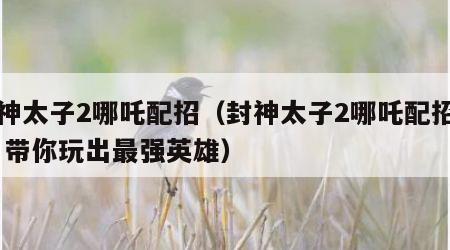 封神太子2哪吒配招（封神太子2哪吒配招方案 带你玩出最强英雄）